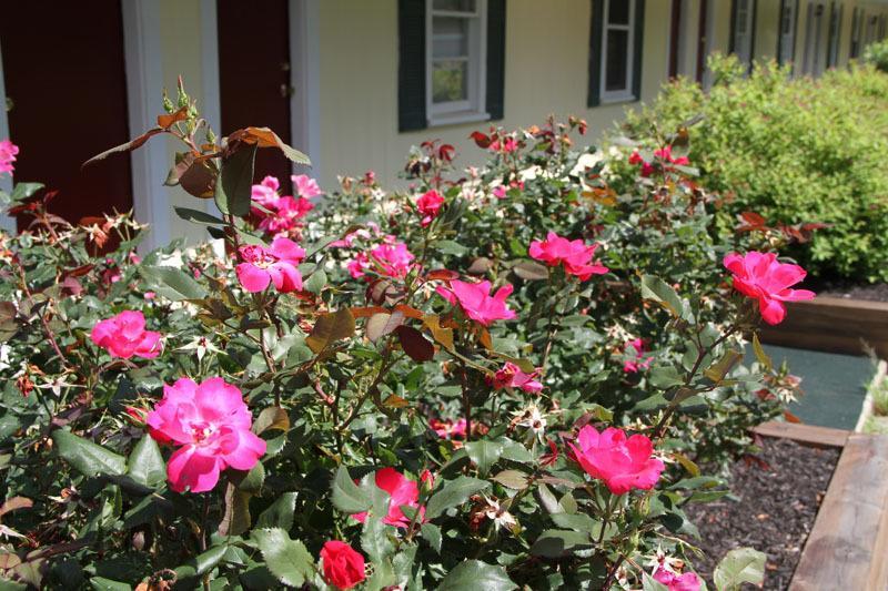 Lodge At Kennebunk Luaran gambar